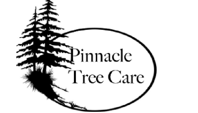 Tree care and maintenance asks for a lot of effort and often needs professional help. Pinnacle Tree ...