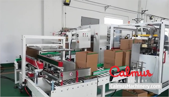 Case Erector and Bag Inserter For Forming Lined Cartons