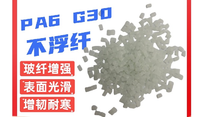 PA6 G30 短纤