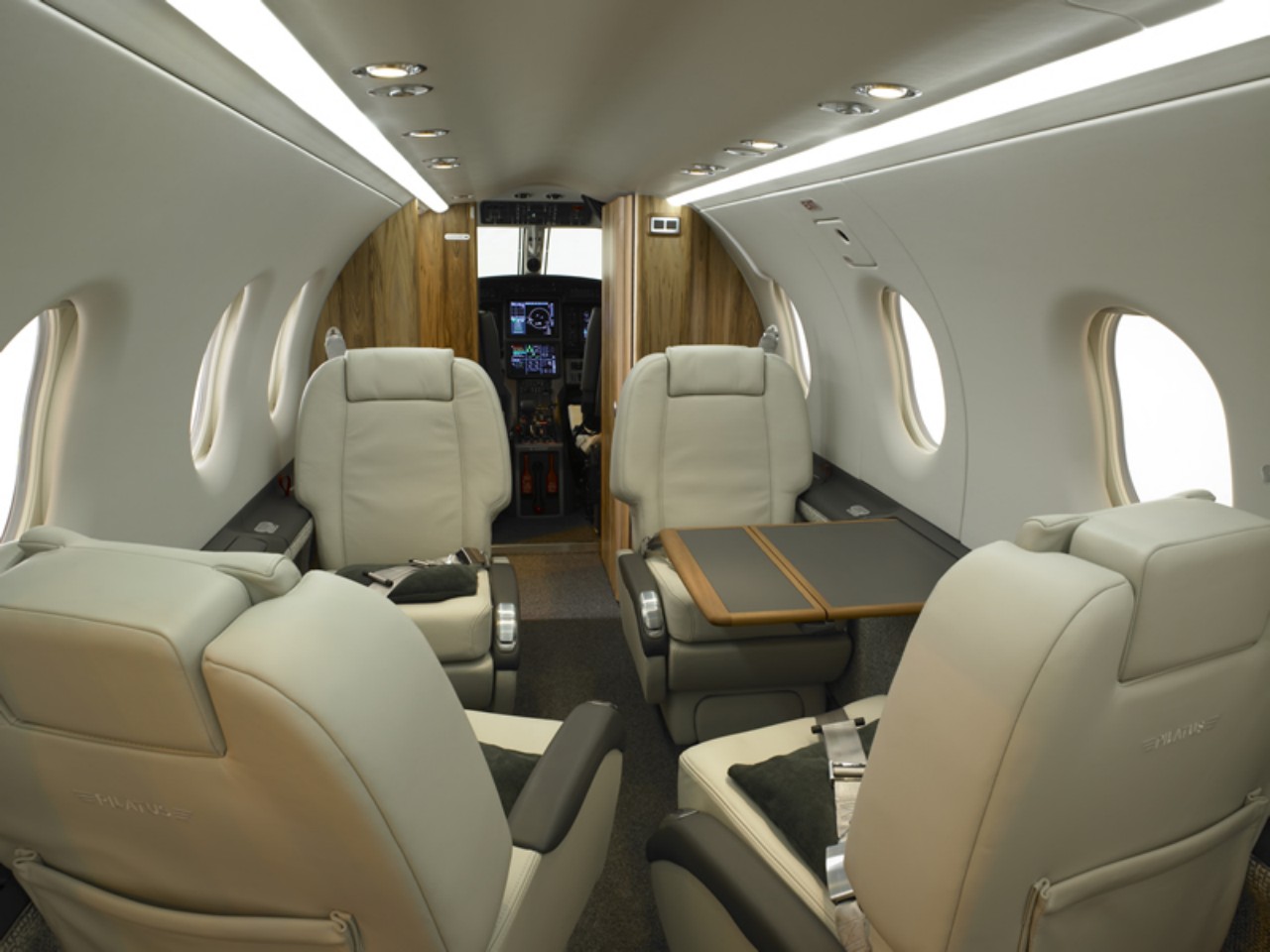 Flugzeugsitzüberzüge für Economy-, Business- und First-Class, Kabinenvorhänge, Headrests, Sitzüberzü...