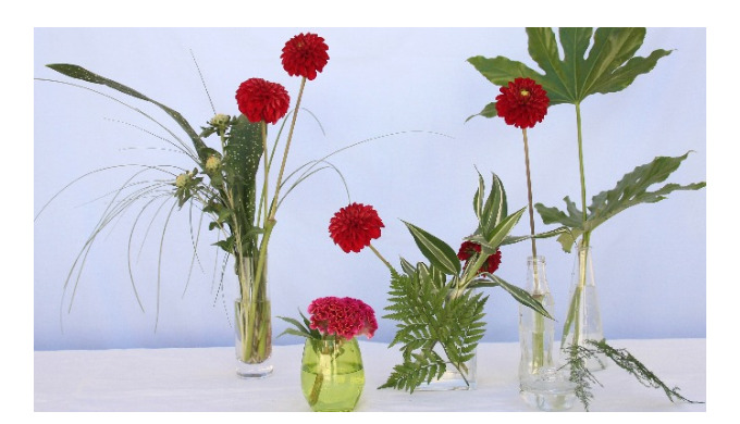 Somos unas Floristas Profesionales especializadas en decoración floral de bodas, eventos, hoteles y ...