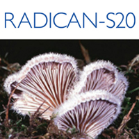 RADICAN-S20 is a proteoglycan that is derived from mushrooms. Itt has been prepared for the purpose ...