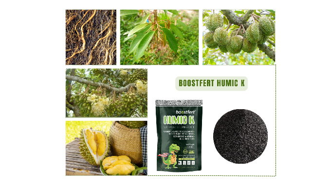 OUR COMPANY Established in 2008, SenTra has since become a leading distributor of fertilizers and ch...