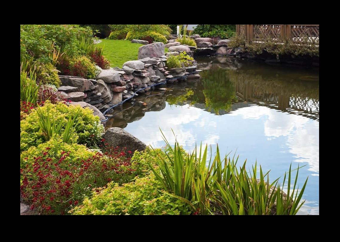 Service d’installation de bassins naturels à Périgueux