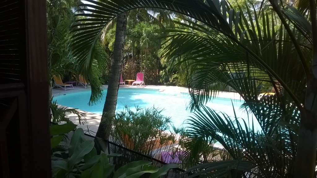 Pour vos prochaines vacances en Guadeloupe , choisissez notre hôtel http://www.hotels-guadeloupe.org...