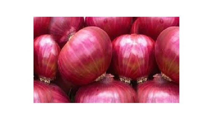 Onion grown from indian soil to provide the best fresh onions.