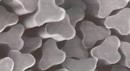 Polypropylene BCF yarn is the lightest fiber among the chemical fibers and is a dream yarn floating ...