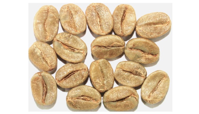 Indian Arabica green coffee beans are known for their smooth body, balanced acidity, and clean cup p...