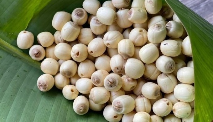 CHEAP VIETNAMESE DRIED WHITE LOTUS SEEDS Storage Type: dried Specification: dried lotus seed Product...