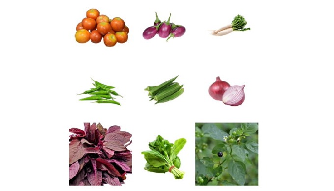 Vegetable Seeds: Grow your own fresh and nutritious vegetables with our selection of vegetable seeds...