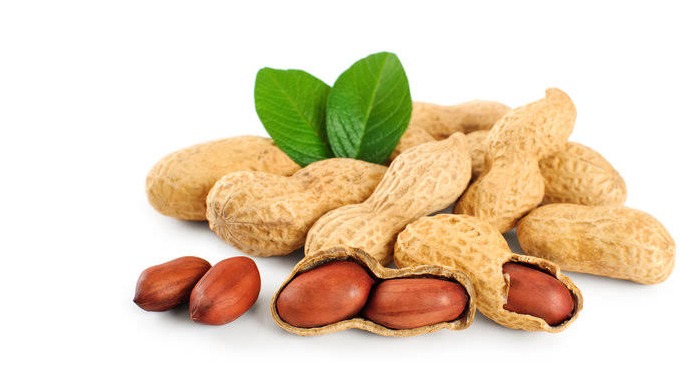 Prm comex pvt ltd leading groundnuts companies