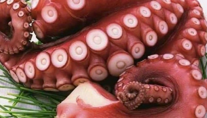 Origin: Nghe An province, Vietnam Ingredient: octopus Shelf Life: 24 months. Part: beard Packing: Va...