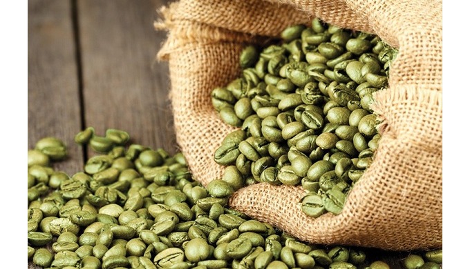 Vietnamese Robusta Green Coffee Beans Embrace the raw power of coffee with our Vietnamese Robusta Gr...