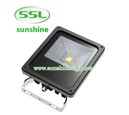 Bridgelux LED as the light source10w power consumptionAC85~265V input optionsDie-casting aluminum ho...