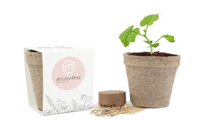 KIT DE SIEMBRA PROMO CON MACETA BIODEGRADABLE