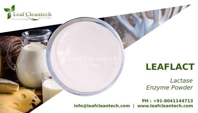 LEAFLACT is a Beta-galactosidase (Lactase) enzyme is obtained by the controlled fermentation of Aspe...
