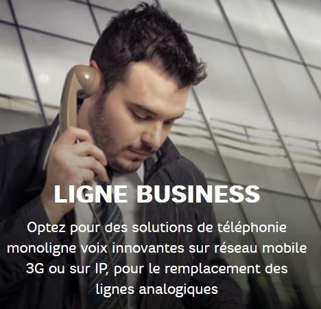 Offre fixe SFR BUSINESS : Ligne Business 3G & IP