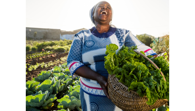 At Iliso Skills Development and Training, we’re committed to empowering women and youth through inno...