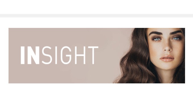 INSIGHT PROFESSIONAL 