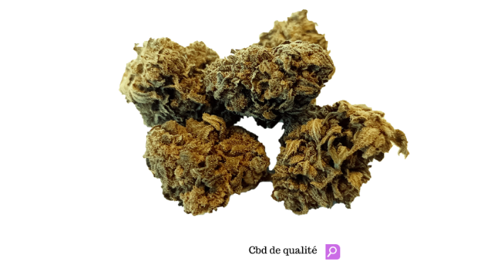 🎉 OFFRE SPÉCIALE : Nous sommes ravis d'offrir 20% de réduction sur tous nos produits CBD de qualité...