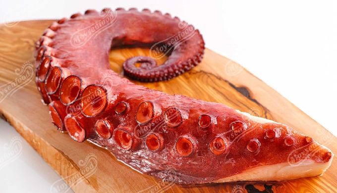 Tentáculos cocidos premium