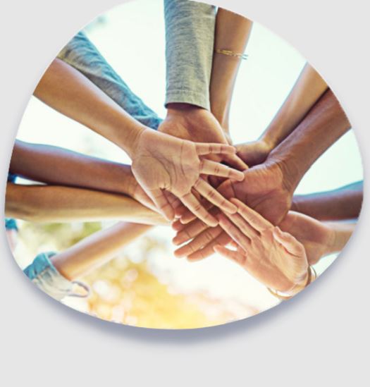 Navigation plus verte de vos sites internet avec Lisio