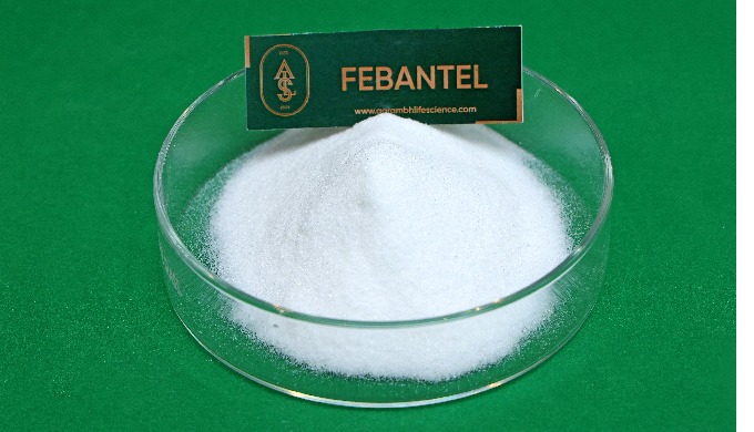 Febantel is active against nematode parasites including whipworms and hookworms. Febantel, API from ...