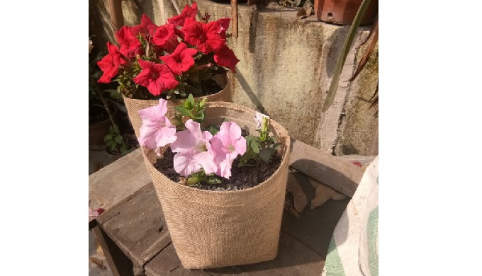 Jute Grow Bags Season Flowers are an interesting and popular alternative to in-ground gardening. The...