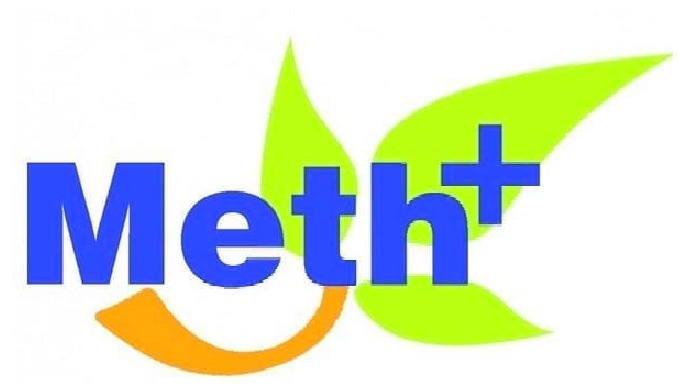 METHPLUS : reemplazante de DL Metionina para pienso animal