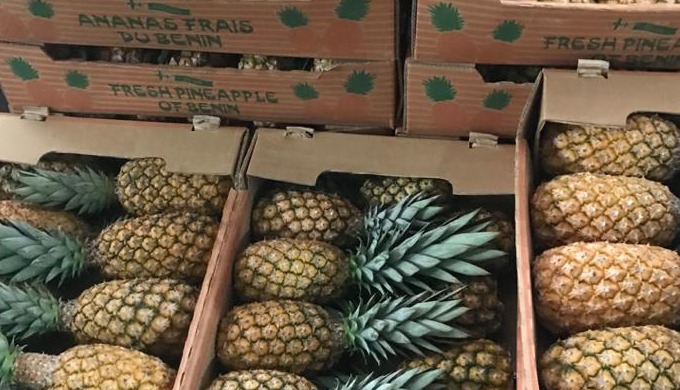 Bonjour, Basé en France , nous disposons de plusieurs hectares d'ananas Pain de sucre, de la cayenne...