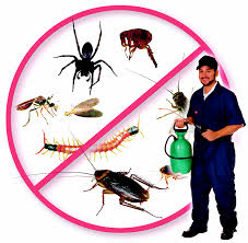 • Pre & post construction termite treatment • Fumigation services • Public health pest control • Ser...