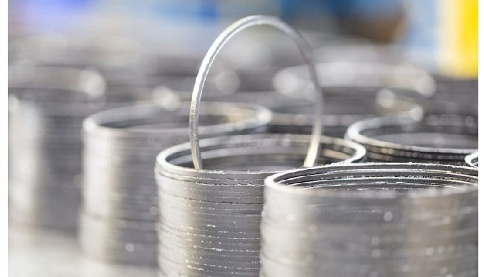 EXPANDED GRAPHITE MOULDED SEALS