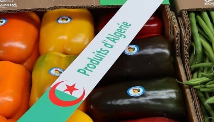 NAKATA EXPORT est une entreprise algérienne spécialisée dans l’exportation des produits alimentaires...