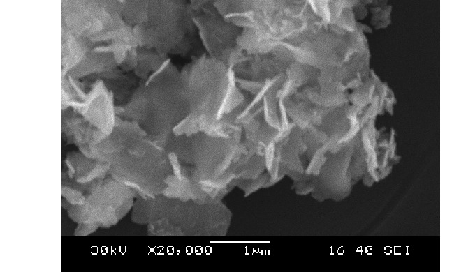 Name: bismuth oxide nano particles Molecular formula: Bi2O2.33 CAS#:1304-76-3 Size: 10-30 nm Purity:...