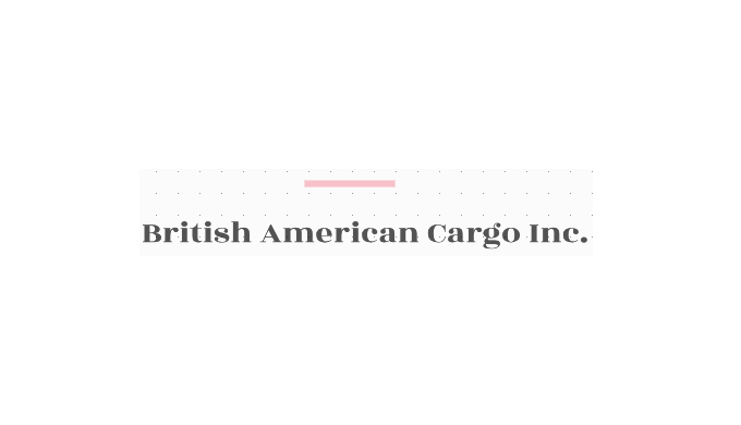 We do airfreight, Sea Freight and customs