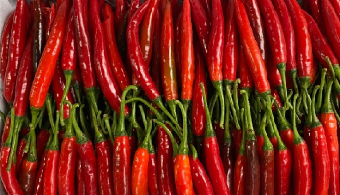Variety: Chili Product Type: Single Herbs & Spices, Single Herbs & Spices Style: Fresh, Fres...