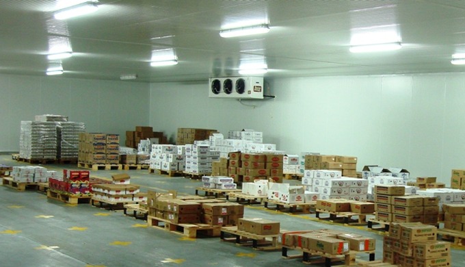 Termodizayn provides state-of-the-art industrial refrigeration systems designed to preserve the biol...