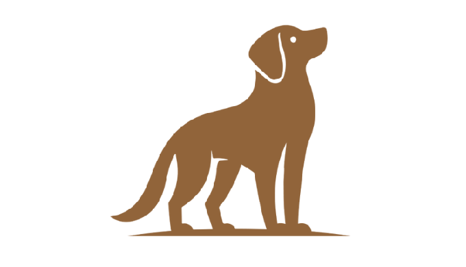 Dog Walking Service Dog Sitting Service Drop-in Dog Visiting Service Dog Taxi Service