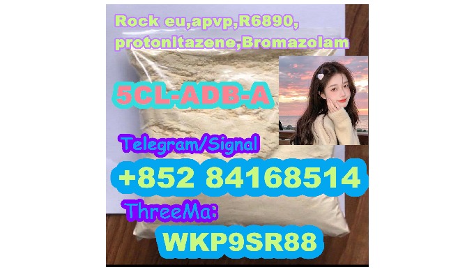 Telegram/signal: +85284168514 ThreeMa: WKP9SR88 E-mail: wvqvmhjbfgurh@outlook.com ———————————————— S...