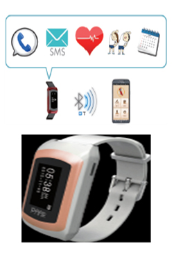 IProduct descriptions PAAR band PB-200L is a compact low-power consuming but multi-functional wearab...