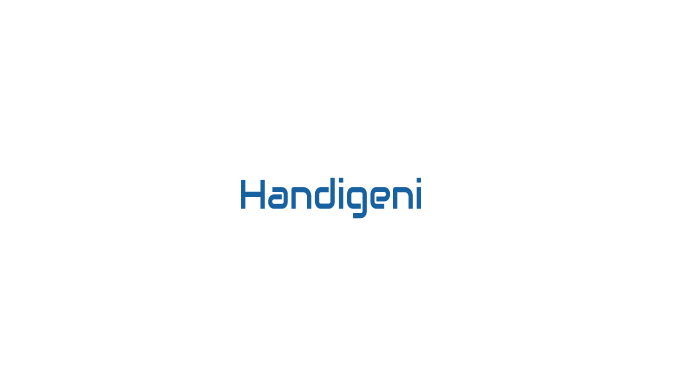 Handigeni Digital Innovations HDI est votre agence digitale basée à Casablanca, au Maroc, spécialisé...