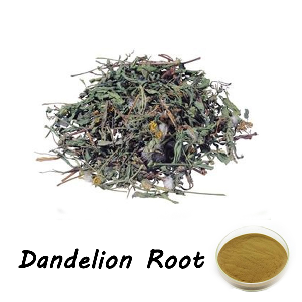 Natural extract from dandelion Root, it is good for body and digestion, commonly applied in health c...