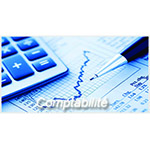Traitement et suivi des travaux de comptabilité générale et analytique:Audit interne, externe et con...