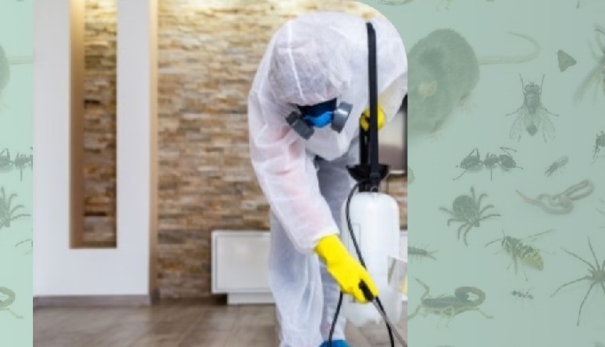 Nos especializamos en la prevención, Control y Exterminio de cualquier tipo de plaga rastrera, y con...