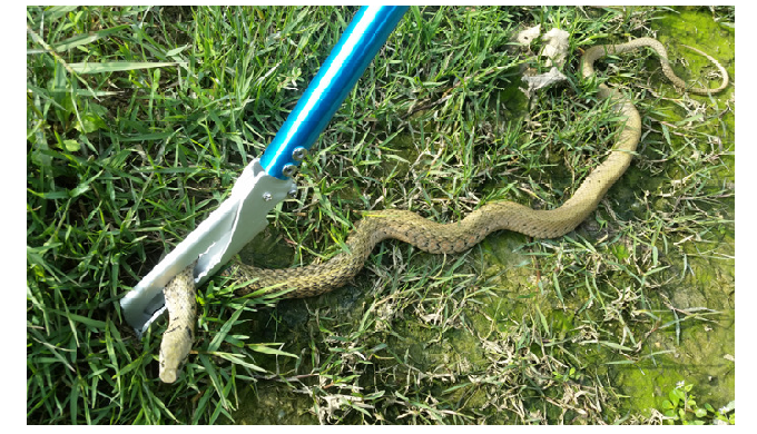 Nous proposons une gamme diversifiée de solutions et produits anti-reptiles de qualité supérieure : ...