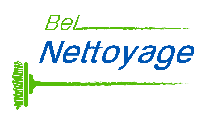 BELNETTOYAGE est une entreprise de nettoyage professionnel basée à Marseille se distingue par la pol...