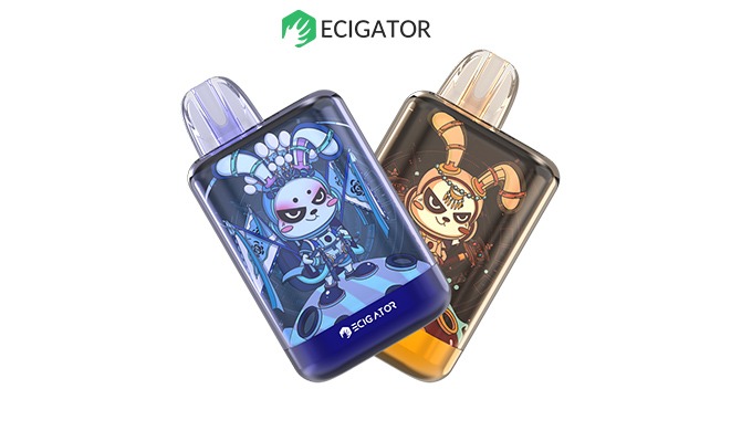 RECHAGEABLE 5000 PUFFS DISPOSABLE VAPE BOX Nice design, high quality disposable vape pod e cigarette...