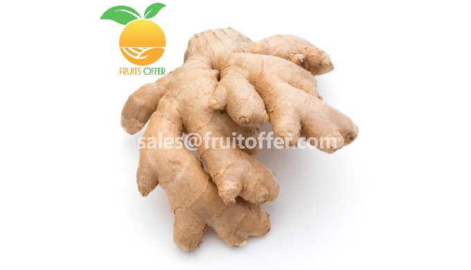 Product: Frozen Ginger Export Type: IQF FROZEN, in containers 20'FCL / 40'FCL Origin: Viet Nam Color...