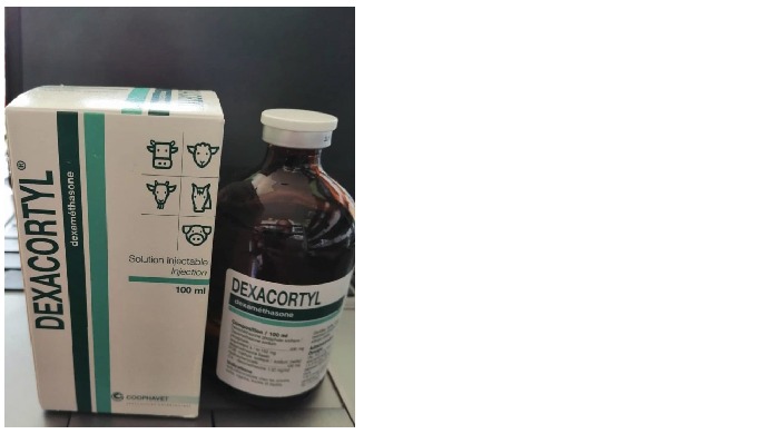 Buy Dexacortyl 100ml Online Dexacortyl injectable solution is powerful for race, with fast action an...
