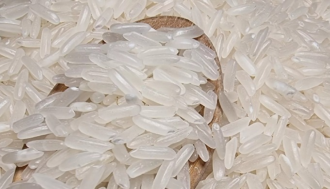 JASMINE 85 Jasmine 85 rice is delivered from Jasmine 85 rice assortment (IR841 - 85), beginning from...